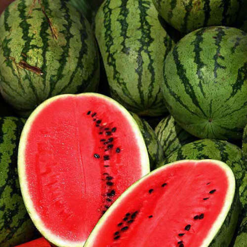 WATERMELON SEEDS ALL SWEET - 20 WATERMELON SEEDS