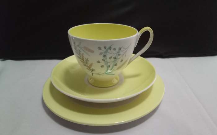 Beautiful bright yellow Queen Anne `Glade` trio