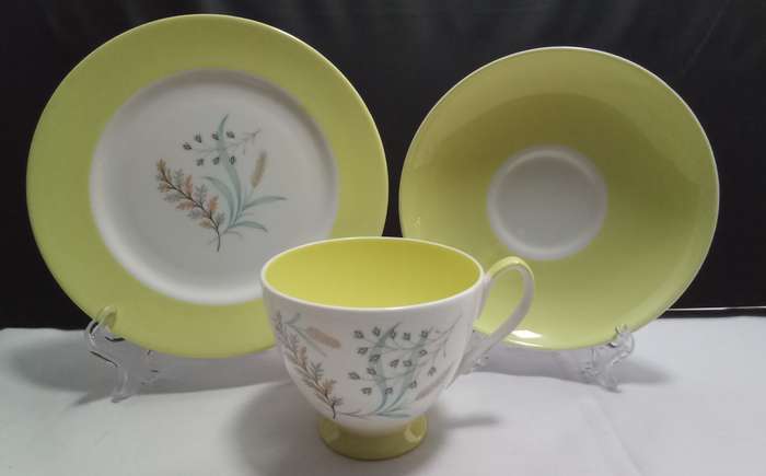 Beautiful bright yellow Queen Anne `Glade` trio