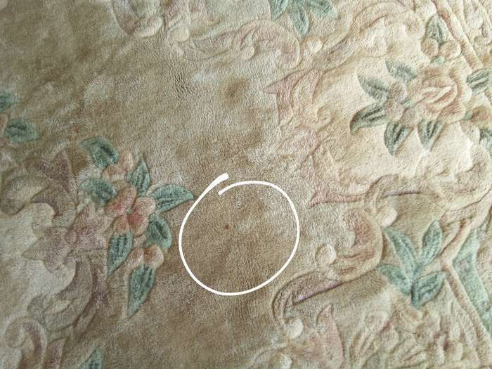 A lovely vintage (possibly antique) Chinese rug in muted colours (2.75x1.83m)