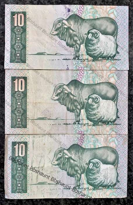 REPLACEMENT NOTES TW DE JONGH  R10--Y1, Y2 & Y3 -- 4TH ISSUE 1978 (1 BID TAKES ALL)