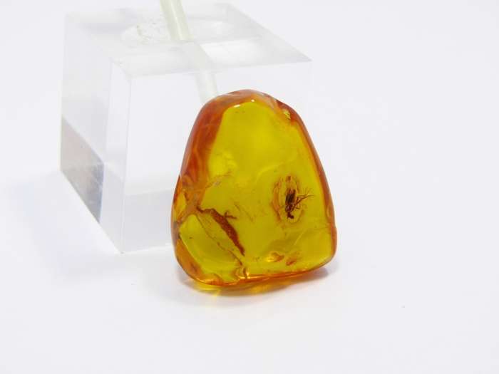Beautiful Vintage Amber Composite Specimen