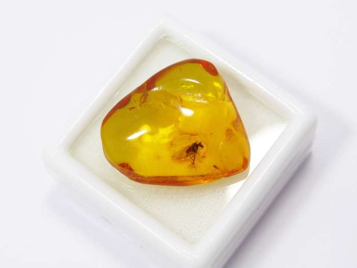 Beautiful Vintage Amber Composite Specimen