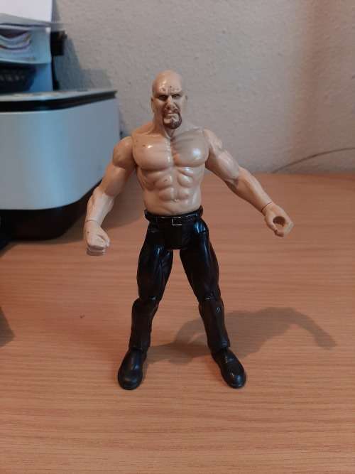 Stone Cold Steve Austin
