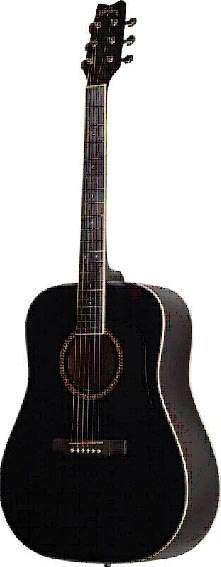 Washburn  Guitar