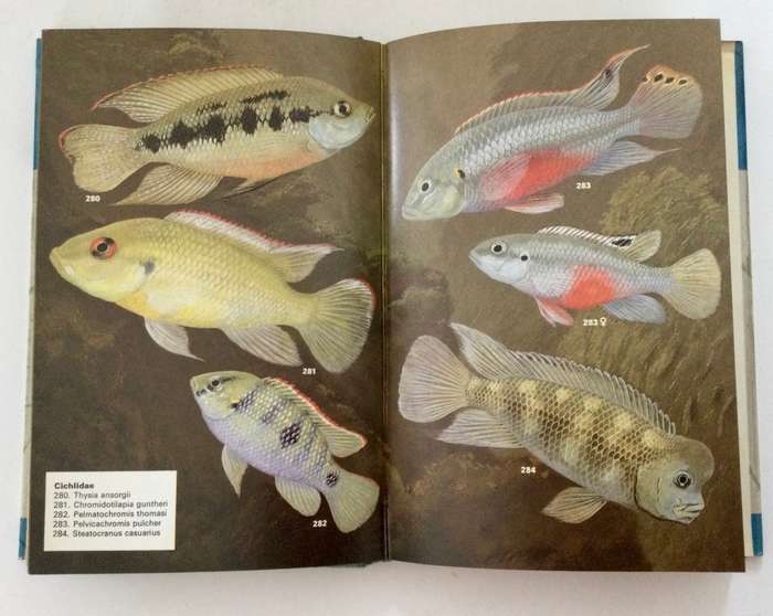 Aquarium Fishes in Color - JM Madsen. Hardcover w dj, 1st US Ed, 1975