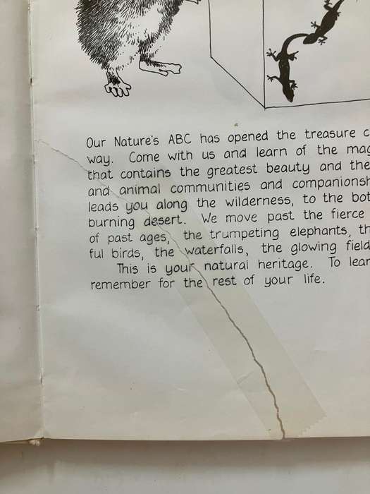 Nature`s ABC - Sue Hart. Hardcover no dj, 1st Ed. 1981
