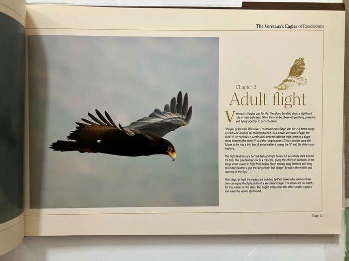 The Verreaux`s Eagles of Roodekrans - G Heydenrych & L Woodcock. Hardcover w dj, 1st Ed. 2012