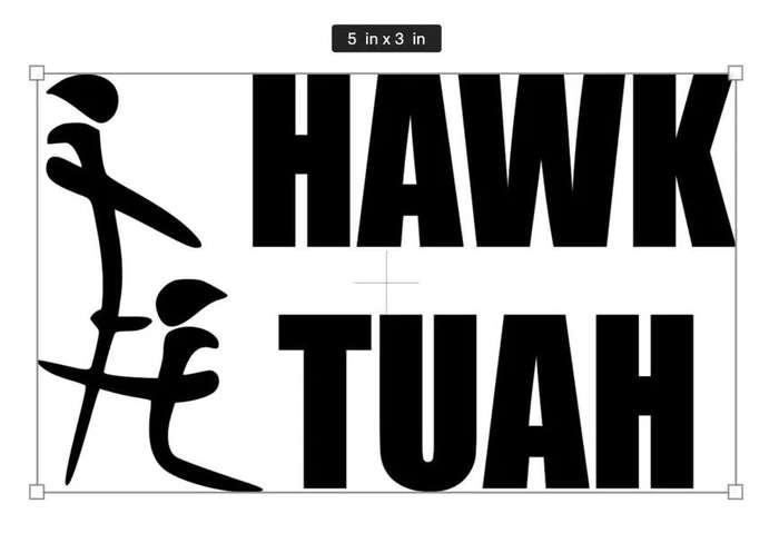 Hawk Tuah STICKERS