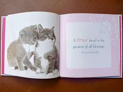 You are special inspirational hard cover book