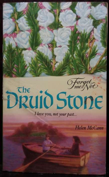 The Druid Stone - Helen McCann
