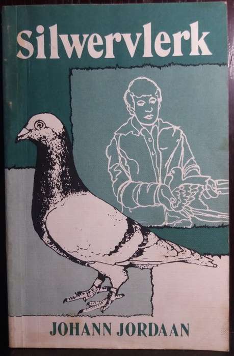 Silvervlerk - Johann Jordaan (Paperback)