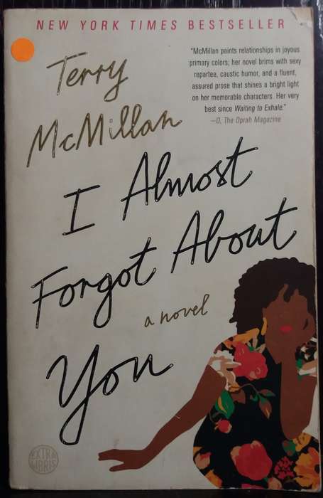I Almost Forgot About You - Terry McMillan