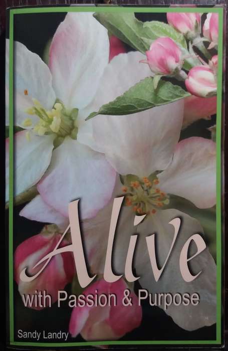Alive With Passion and Purpose - Sandy Landry
