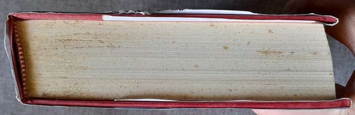 Precipice - Colin Forbes Hardcover