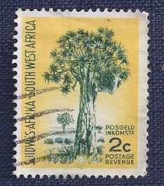 SWA .1961 .Local Motives  2c    Quivertree  wm not checked