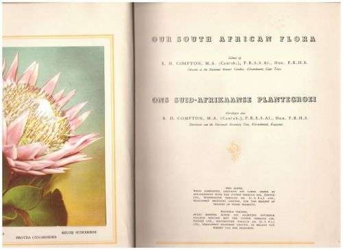 Our South African flora / Ons Suid-Afrikaanse plantegroei  [Complete Card Album]