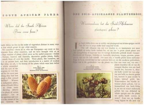 Our South African flora / Ons Suid-Afrikaanse plantegroei  [Complete Card Album]