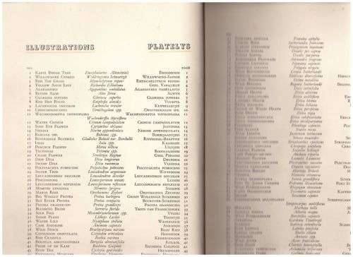 Our South African flora / Ons Suid-Afrikaanse plantegroei  [Complete Card Album]