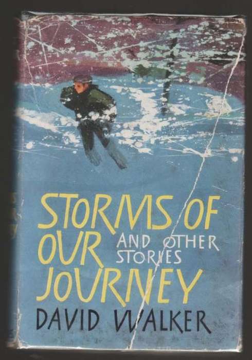 Storms of Our Journey: And Other Stories -- David Walker