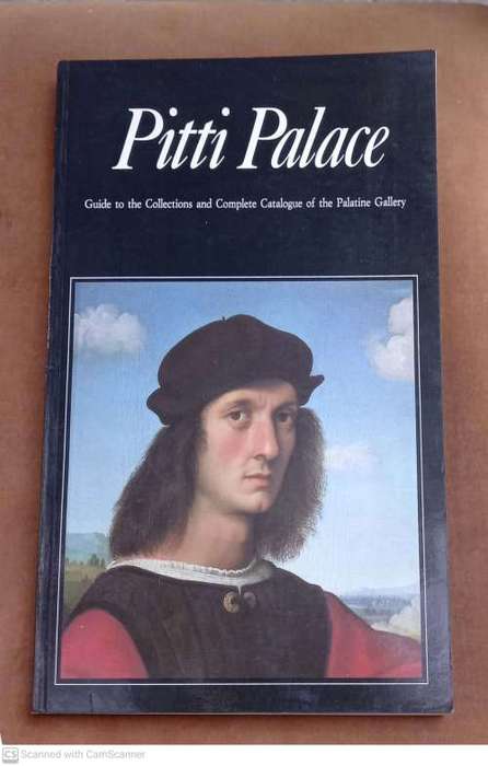 Pitti Palace: Guide to the Collections and Complete Catalogue of the Palatine Gallery