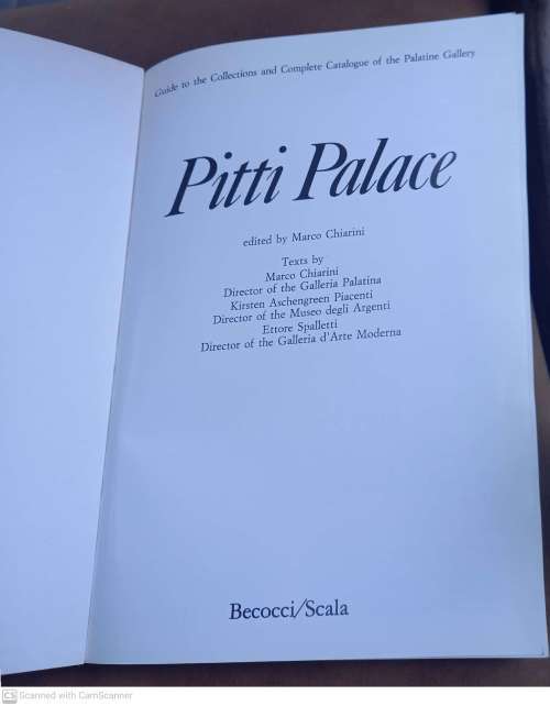 Pitti Palace: Guide to the Collections and Complete Catalogue of the Palatine Gallery