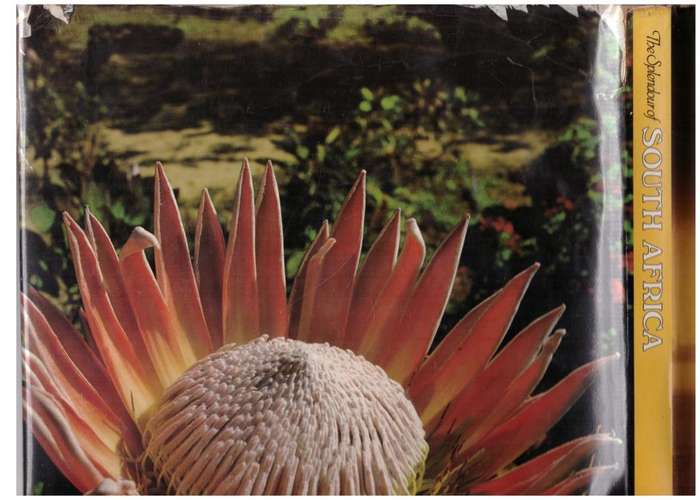 The Splendour of South Africa -- R.I.B. Webster