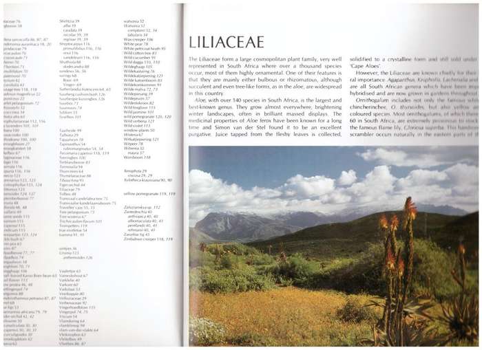 Wild Flowers of South Africa