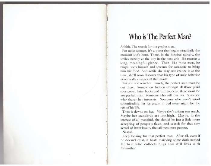 The Perfect Man: A complete guide to 24 perfect men