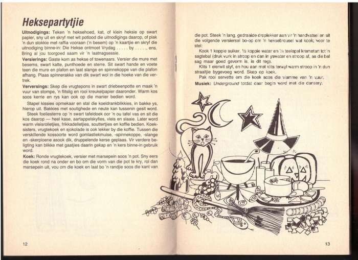 Jolyt in die Tienertyd - Lidia van Niekerk