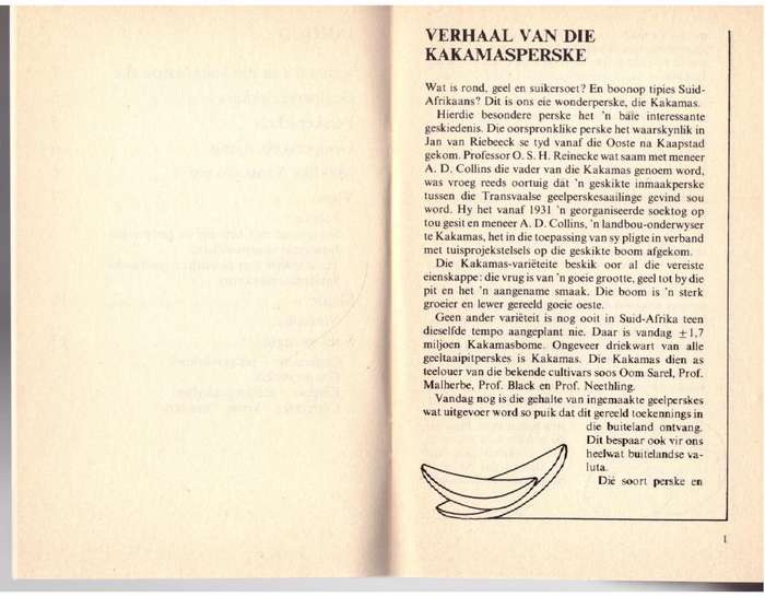 Die Sonskynvrug -- Sophie Van Heerden