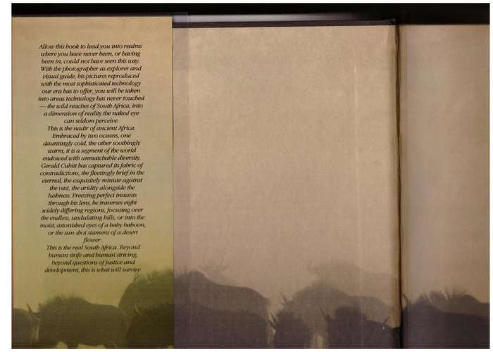 South Africa, the Wild Realms -- Gerald Cubitt