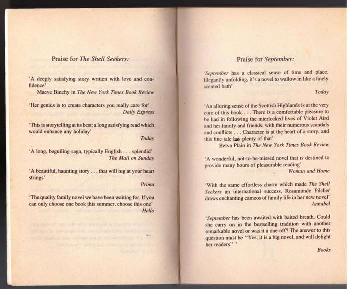 The Day of the Storm  -- Rosamunde Pilcher