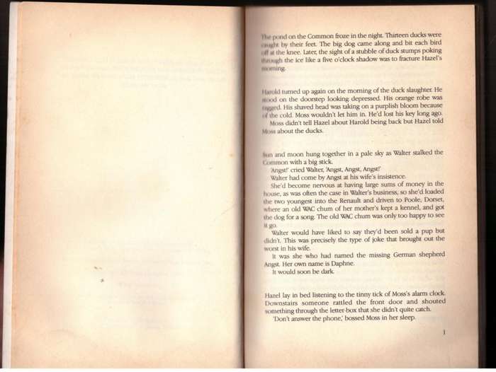 Broken Words  -- Helen Hodgman