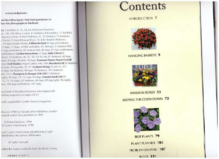 Easy Hanging Baskets & Window Boxes -- Richard Jackson, Carolyn Hutchinson