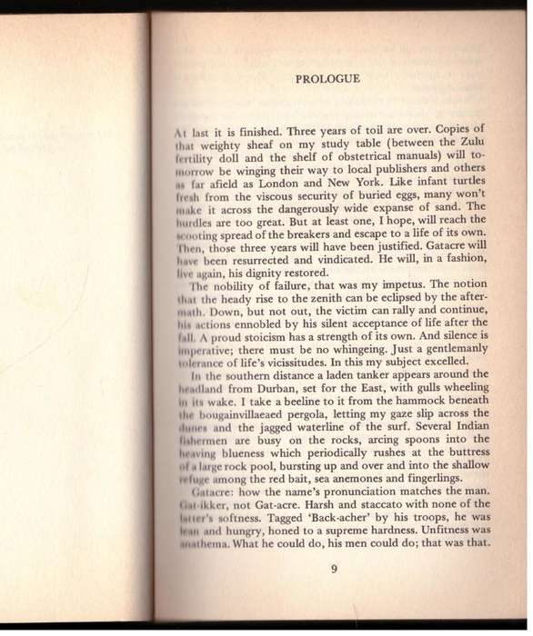 The Desecration of the Graves: A Novel  --  John Conyngham