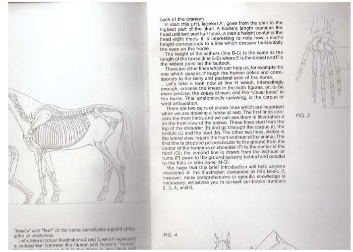 Let us paint Horse and Man (Leonardo Collection #11)