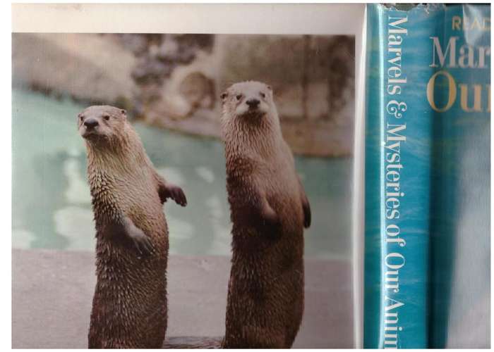 Marvels & Mysteries of Our Animal World