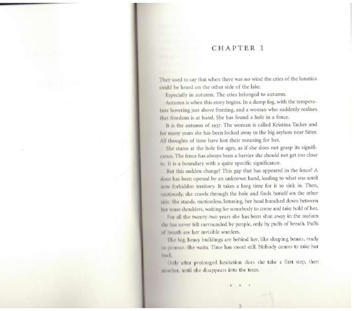 Depths  --  Henning Mankell