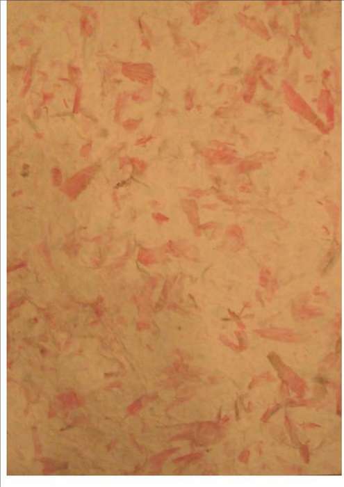 ORGANIC HANDMADE PAPER - cream colour paper infused with baby pink leaves and petals - size A4