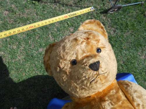 Retro, large (700mm high), straw-filled teddy bear with a small modern friend.