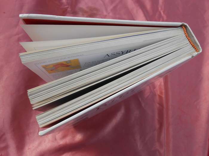 `The Complete Bible Handbook`  DK.  Hard cover.