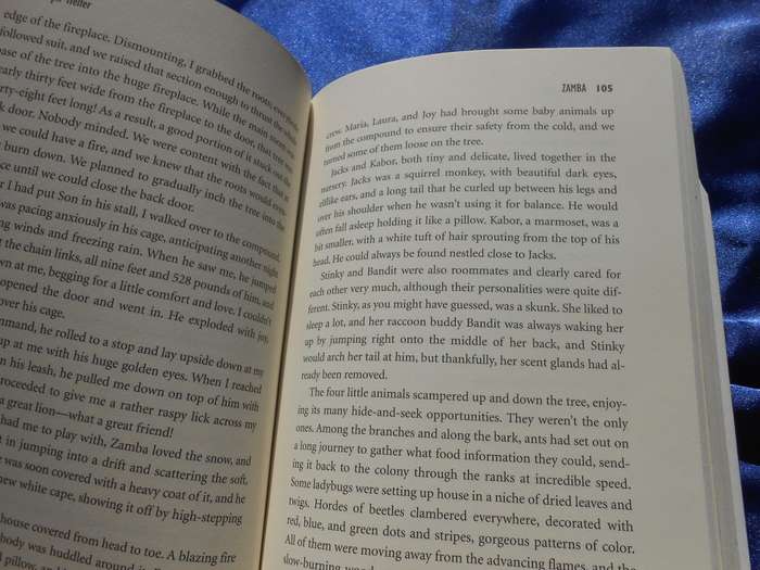 `Zamba`  The True Story of the Greatest Lion that Ever Lived.  Soft cover.