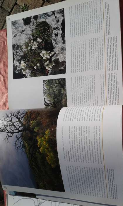 "Fynbos"  South Africa's Unique Floral Kingdom.  Hard cover.