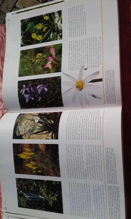 "Fynbos"  South Africa's Unique Floral Kingdom.  Hard cover.