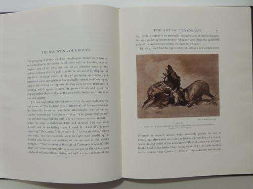 A Naturalist`s Life Study In the Art of Taxidermy - by Rowland Ward, F.S.Z.