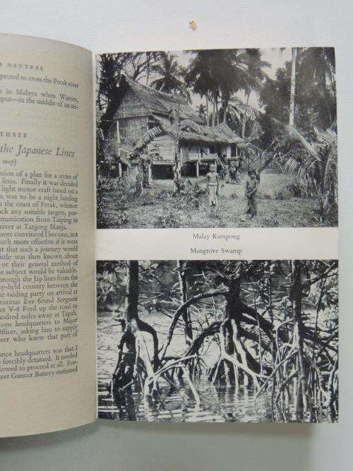 The Jungle is Neutral  Inscribed by F Chapman - by  F. S. Chapman