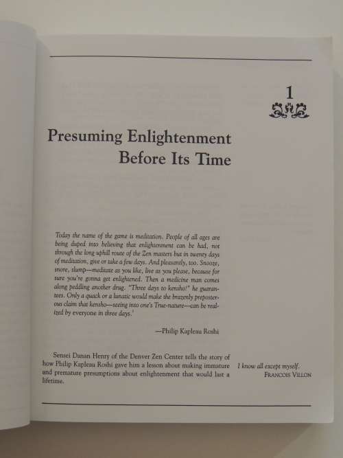 Halfway Up the Mountain - The Error of Premature Claims to Enlightenment - Mariana Caplan