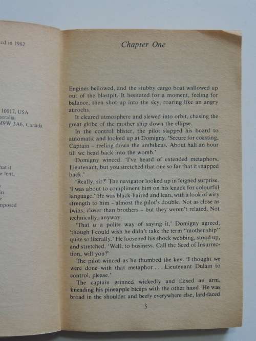 A Wizard in Bedlam - Christopher Stasheff