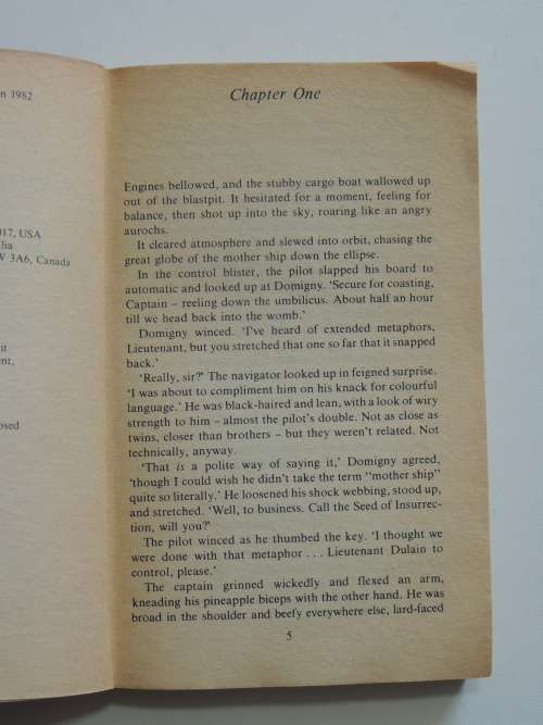 A Wizard in Bedlam - Christopher Stasheff